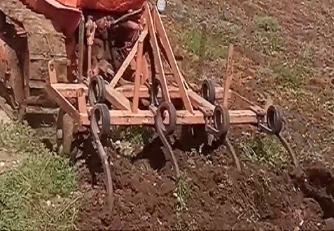 pequeño cultivador